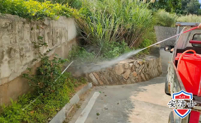杭州道路堤坝白蚁防治