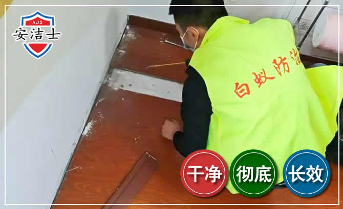 杭州除四害现场