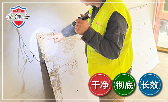 杭州除白蚁现场