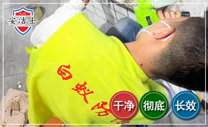 杭州白蚁根治现场